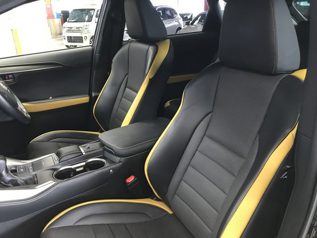 TOYOTA LEXUS NX300H 2020 Image 31