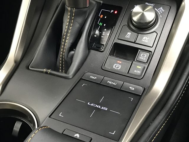 TOYOTA LEXUS NX300H 2020 Image 31