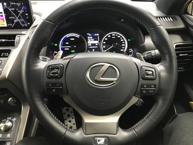 TOYOTA LEXUS NX300H 2020 Image 31