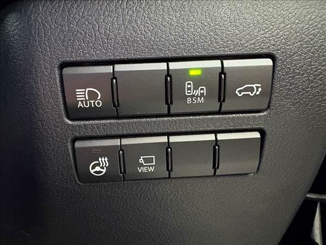 TOYOTA LEXUS NX300 2017 Image 31