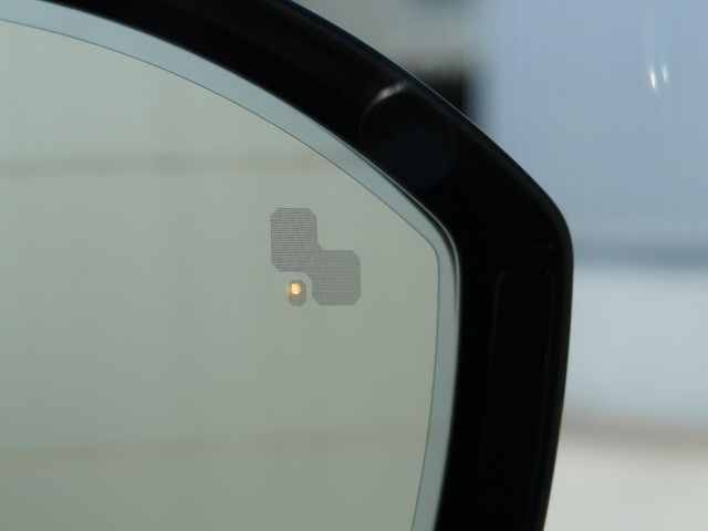 ROVER RANGE  EV 2024 Image 31