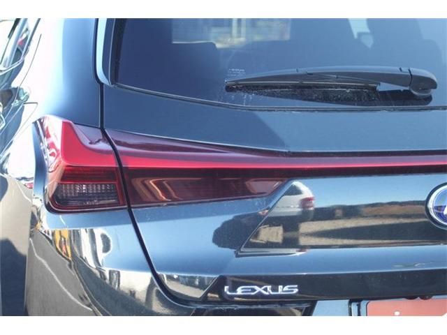 TOYOTA LEXUS UX300E 2022 Image 31