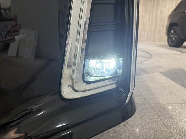 TOYOTA ALPHARD HYBRID 4WD 2019 Image 31