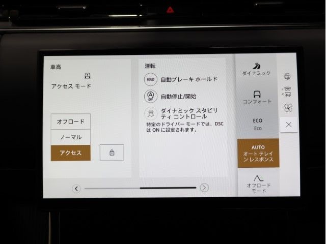 ROVER RANGE  SP 2024 Image 31