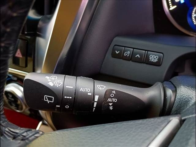 TOYOTA ALPHARD HYBRID 4WD 2017 Image 31