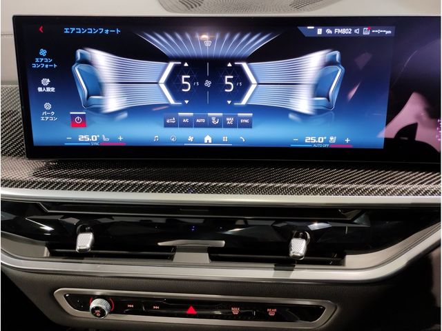 BMW X6 2023 Image 31