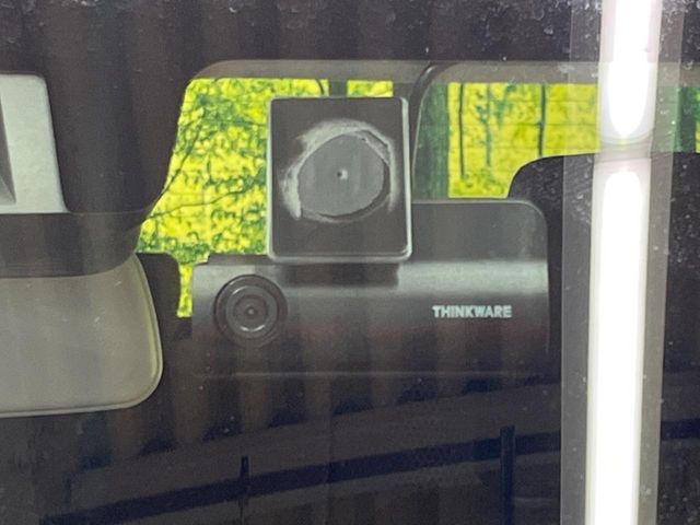 SUZUKI HUSTLER 2025 Image 31