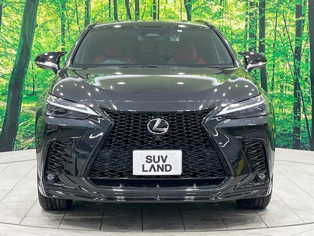 TOYOTA LEXUS NX350H 2023 Image 31