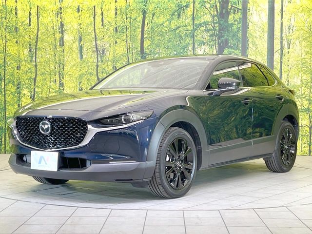 MAZDA CX-30 2023 Image 31