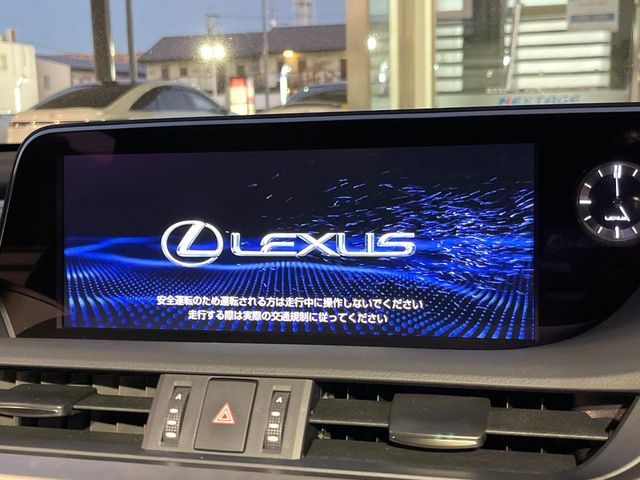 TOYOTA LEXUS ES300H 2019 Image 31