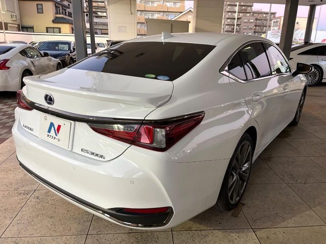 TOYOTA LEXUS ES300H 2019 Image 31