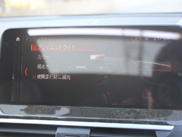 BMW X4 2019 Image 31