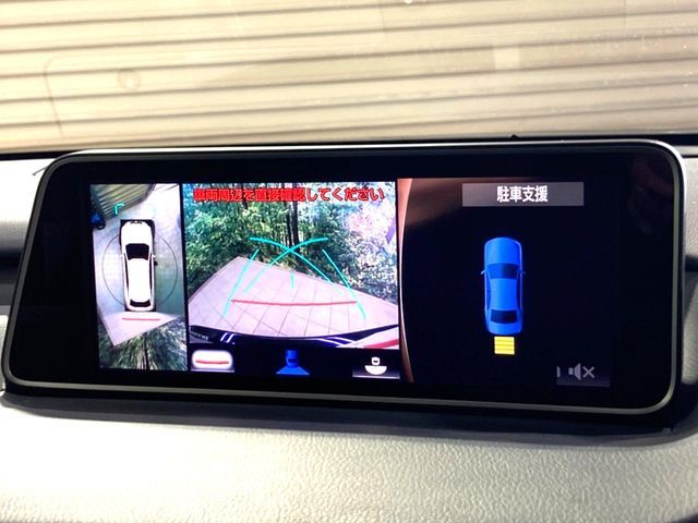 TOYOTA LEXUS RX200T 2017 Image 31