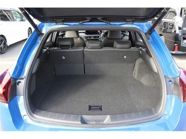 TOYOTA LEXUS UX250H 2020 Image 31