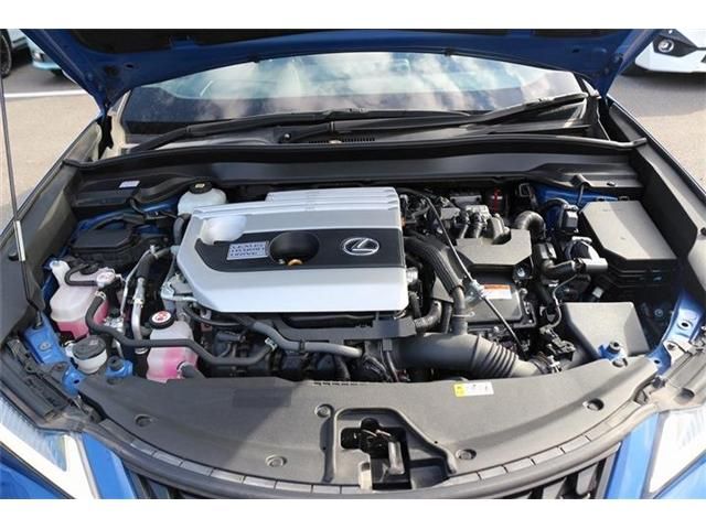 TOYOTA LEXUS UX250H 2020 Image 31