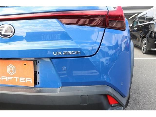 TOYOTA LEXUS UX250H 2020 Image 31