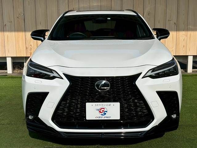 TOYOTA LEXUS NX350H 2023 Image 31