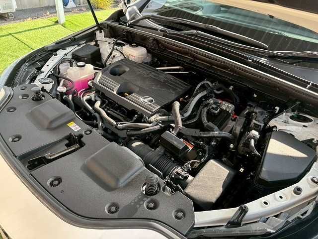 TOYOTA LEXUS NX350H 2023 Image 31