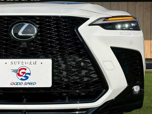 TOYOTA LEXUS NX350H 2023 Image 31