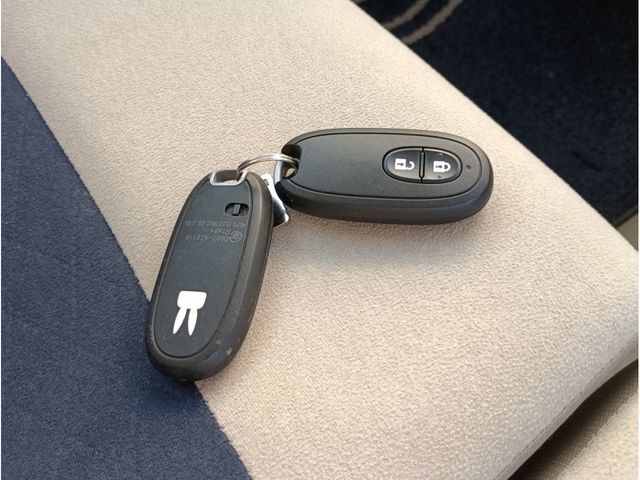 SUZUKI ALTO LAPIN 2021 Image 31