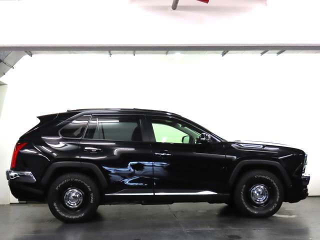 MITSUOKA BUDDY 2023 Image 31