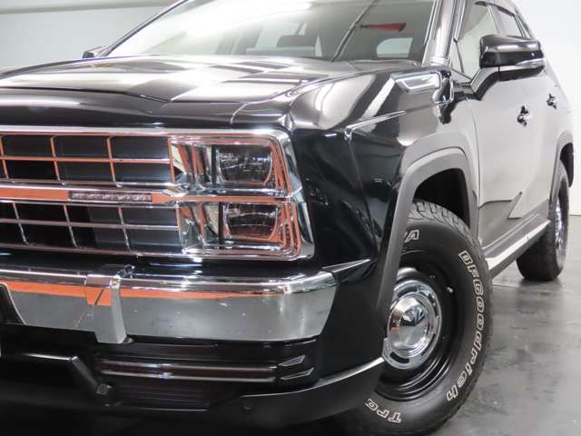 MITSUOKA BUDDY 2023 Image 31