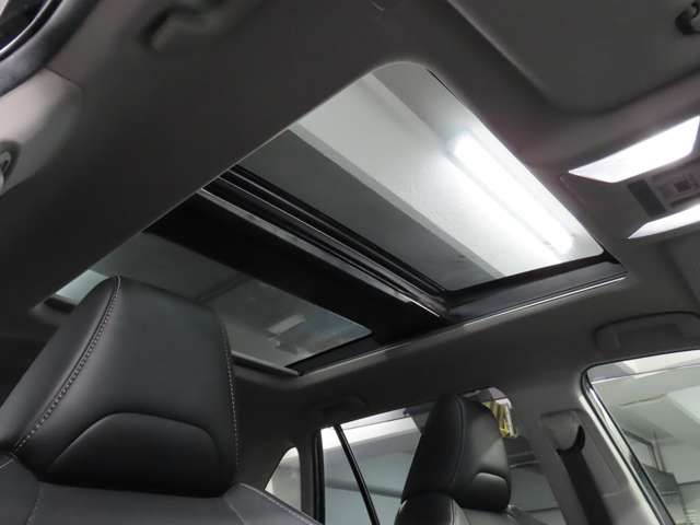 MITSUOKA BUDDY 2023 Image 31