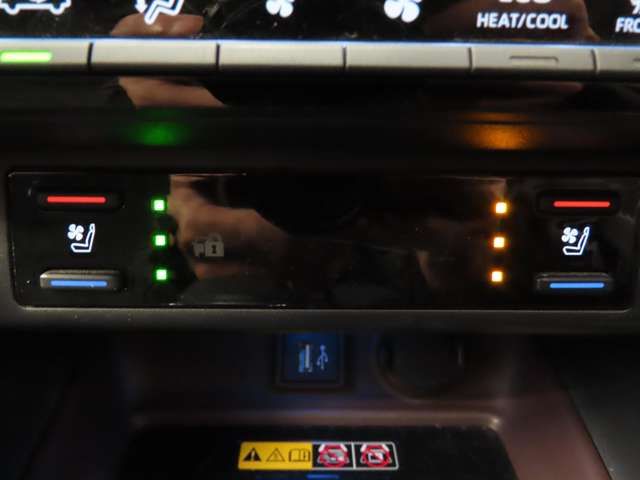 MITSUOKA BUDDY 2023 Image 31