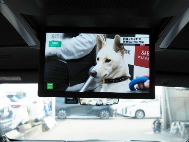 TOYOTA ALPHARD HYBRID 4WD 2023 Image 31