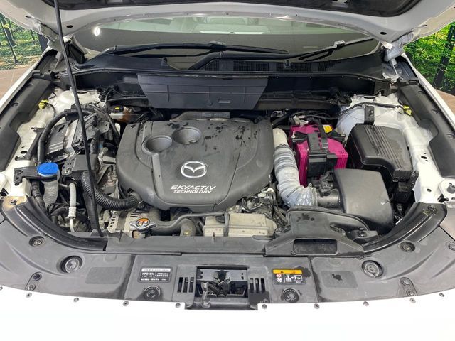 MAZDA CX-8 2018 Image 31