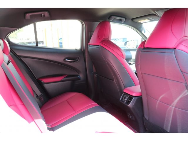 TOYOTA LEXUS UX250H 2019 Image 31