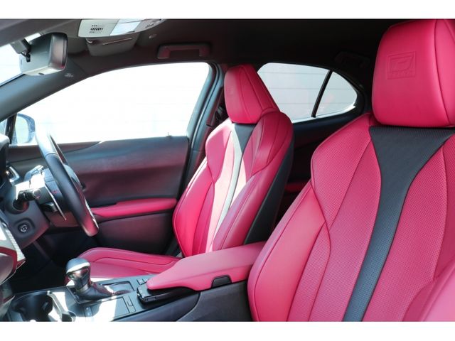 TOYOTA LEXUS UX250H 2019 Image 31