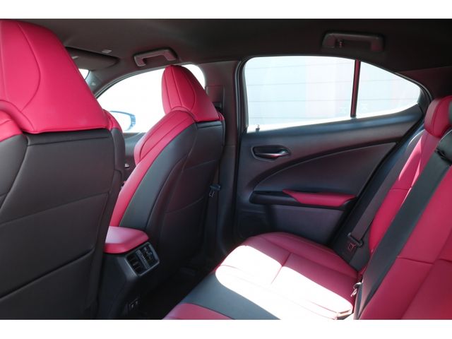 TOYOTA LEXUS UX250H 2019 Image 31