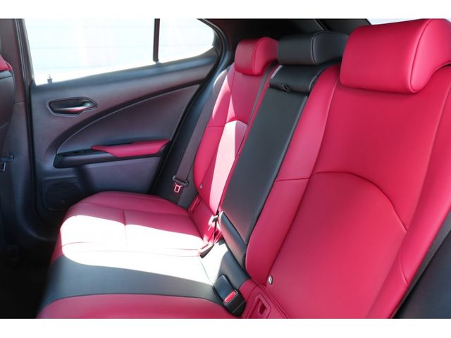 TOYOTA LEXUS UX250H 2019 Image 31