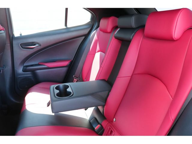 TOYOTA LEXUS UX250H 2019 Image 31