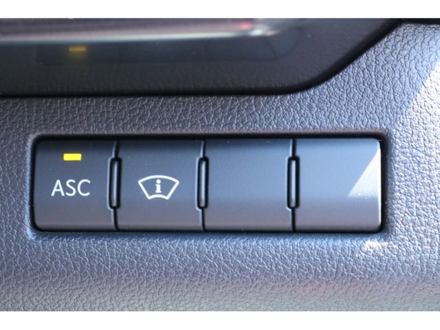 TOYOTA LEXUS UX250H 2019 Image 31