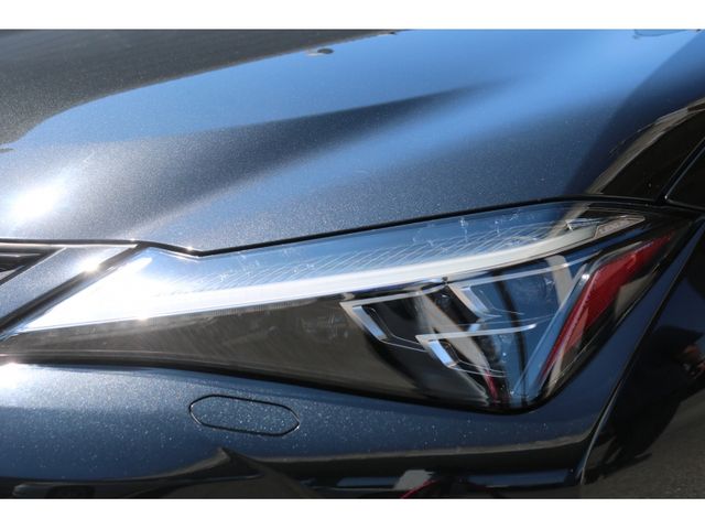 TOYOTA LEXUS UX250H 2019 Image 31