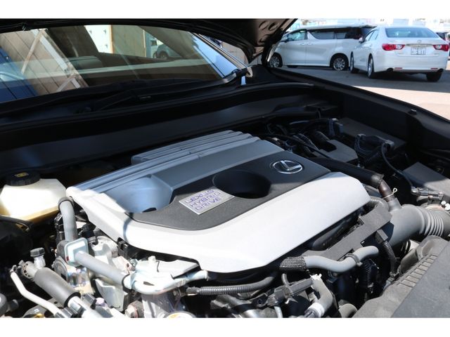 TOYOTA LEXUS UX250H 2019 Image 31