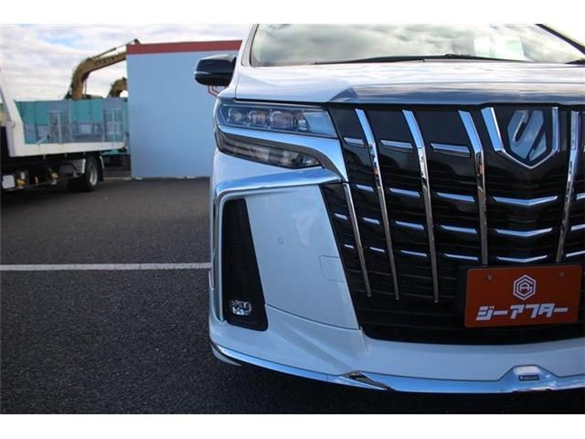 TOYOTA ALPHARD 2020 Image 31