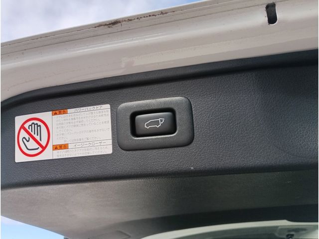 TOYOTA ALPHARD 2020 Image 31