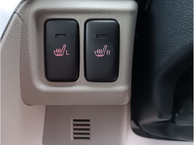 DAIHATSU CAST STYLE 2021 Image 31