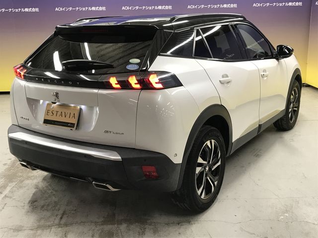 PEUGEOT 2008 2020 Image 31