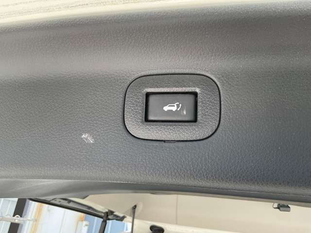 NISSAN ELGRAND 2020 Image 31