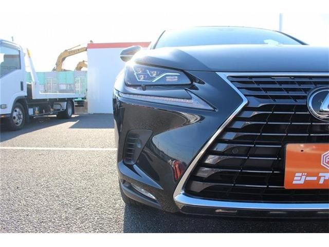 TOYOTA LEXUS NX300 2018 Image 31