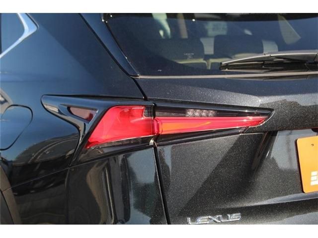 TOYOTA LEXUS NX300 2018 Image 31