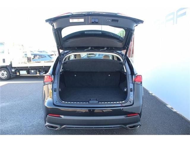 TOYOTA LEXUS NX300 2018 Image 31