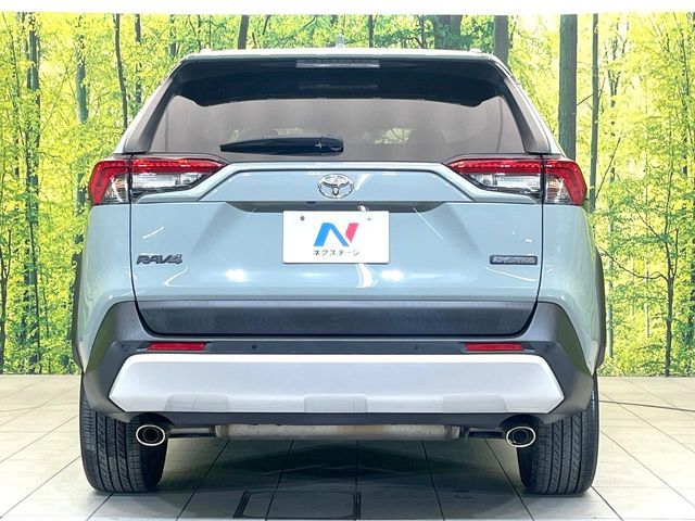 TOYOTA RAV4 4WD 2020 Image 31