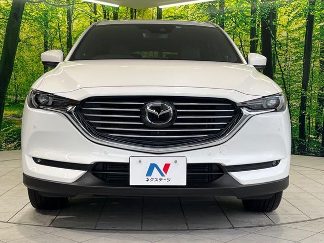 MAZDA CX-8 2019 Image 31