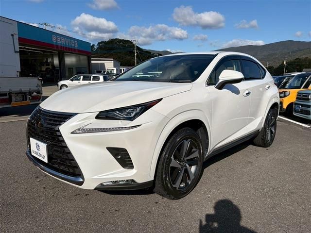 TOYOTA LEXUS NX300 2020 Image 31