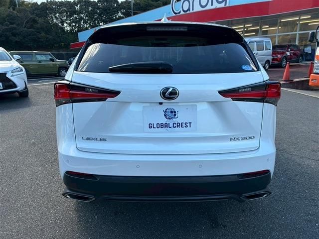 TOYOTA LEXUS NX300 2020 Image 31